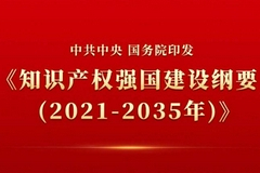 中共中央 国务院印发《知识产权强国建设纲要（2021－2035年）》
