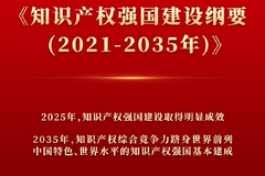 中共中央 国务院印发《知识产权强国建设纲要（2021－2035年）》