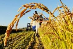 快讯：农业股午后继续冲高 华绿生物拉升涨近9%