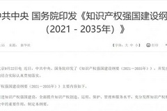 国家知识产权局局长申长雨人民日报撰文：新时代知识产权强国建设的宏伟蓝图