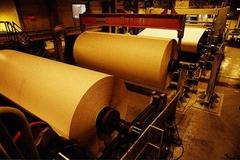快讯：造纸板块早盘拉升 青山纸业涨超7%