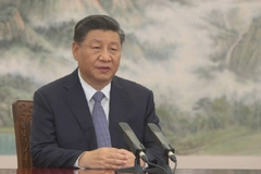 习近平在亚太经合组织第二十八次领导人非正式会议上的讲话（全文）