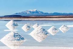 快讯：盐湖提锂板块异动拉升 西藏珠峰2连板