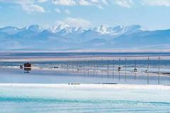 快讯：盐湖提锂概念股短线拉升 西藏城投触及涨停
