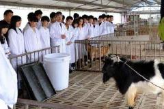 畜牧兽医行业“十四五”规划印发 重点打造两个万亿级产业