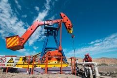 国务院联合调查组：中石油累计倒卖进口原油1.795亿吨