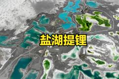 快讯：盐湖提锂板块大幅拉升 中铝国际涨停