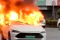 一辆比亚迪轿车起火燃烧 比亚迪回应：无人员伤亡 事故原因调查中