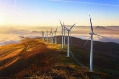 “双碳”目标下  能源行业迎发展契机