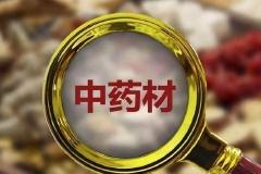 快讯：中药板块高开低走 粤万年青跌近7%