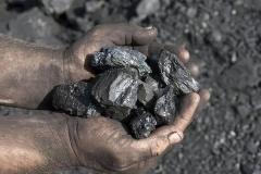 快讯：煤炭板块开盘走强 郑州煤电涨停