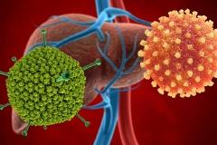 不明原因儿童肝炎为何突现？专家推测：长期隔离影响儿童免疫
