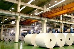快讯：造纸板块异动拉升 宜宾纸业直线涨停