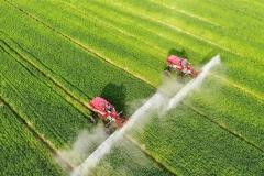 快讯：农业板块快速走强 农发种业涨超5%