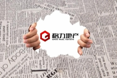 格力地产：鲁君四因涉嫌泄露内幕信息被采取刑事强制措施