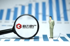 董事长涉嫌内幕交易后 格力地产重组摁下暂停键
