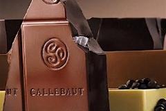 世界最大巧克力工厂因沙门氏菌污染停产，百乐嘉利宝：专家确定了污染源