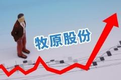 快讯：3000亿养猪龙头牧原股份午后涨停 股价创近5个月新高