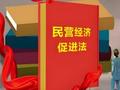 付一夫：《民营经济促进法》意义深远