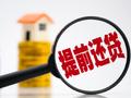 尹中立：关于居民提前还贷现象的分析