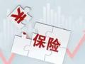 施辉：中小保司真做不好非车险吗？其实不然！