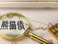 张明：熊猫债市场发展为何提速？