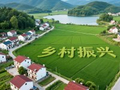 中国农业银行行长王志恒：为乡村全面振兴提供高质量金融服务