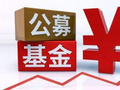 薛洪言：“追光”之辨——公募一季度持仓折射A股投资生态新坐标