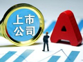付一夫：打击防范上市公司财务造假意义深远