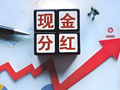 皮海洲：上市公司现金分红就该兼顾公司发展的长远利益