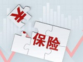 一部贯通道势术人，连接哲理与场景的保险实践思想之作