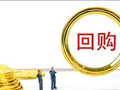 皮海洲：别让股份回购沦为部份上市公司变相炒股的工具