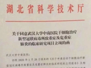 湖北启动干细胞治疗新型冠状病毒重症肺炎临床研究