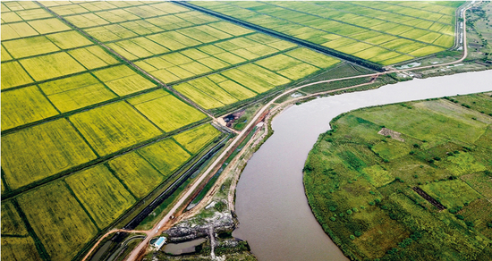 消除贫困是人类面临的共同挑战。中国通过“一带一路”倡议帮助沿线各国增加就业、改善民生，以实际行动为推进全球减贫事业作出贡献。根据世界银行研究报告，“一带一路”倡议将使相关国家约760万人摆脱极端贫困、3200万人摆脱中度贫困。图为2019年4月7日无人机拍摄的莫桑比克中非农业合作项目——万宝莫桑农业园的水稻田，该项目极大地缓解了莫桑比克粮食短缺问题。　新华社记者 张宇/摄