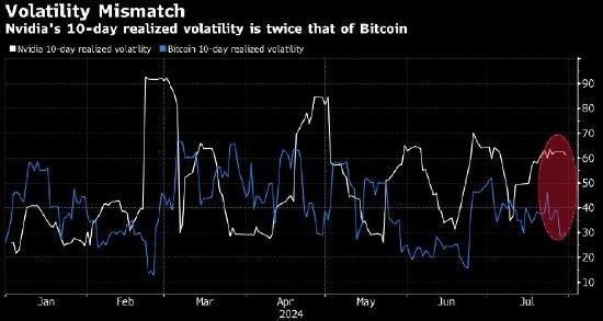 英伟达大跌或预示风险酝酿 这只热门美股的波动率甚至超过比特币