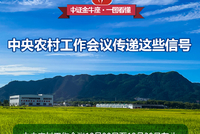 【一图看懂】中央农村工作会议传递这些信号