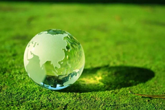 习近平：在经济发展中促进绿色转型、在绿色转型中实现更大发展