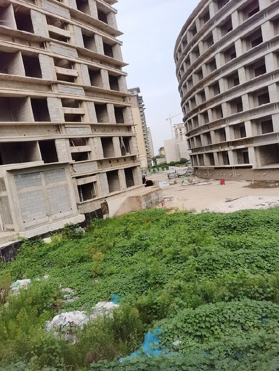 图片来源：时代财经 摄