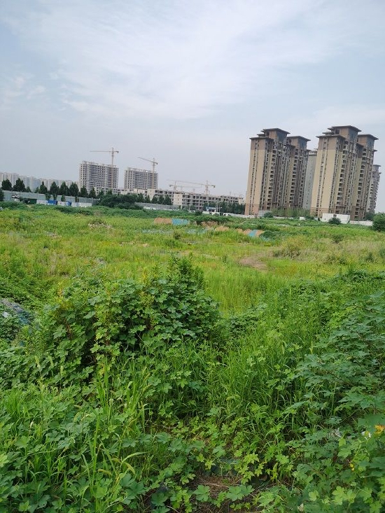 图片来源：时代财经 摄