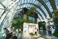 四部门详解，推进绿色消费举措