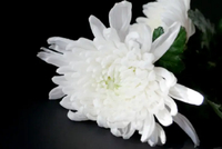 突发！银华基金基金经理刘辉因病逝世 享年54岁