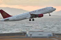 49条中日航线取消全部航班