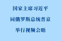 习近平同俄罗斯总统普京举行视频会晤