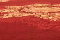 “中方几乎每天都铺着红地毯”