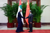 王毅同阿联酋总统中国事务特使哈勒敦会谈