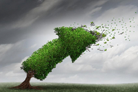 一周跌去7% 黄金“避险光环”缘何失色？