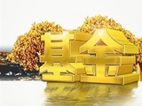 净值“纹丝不动” 部分灵活配置基金轻仓甚至空仓运作