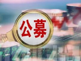 政策周期业绩三重共振 公募强化高景气赛道抱团