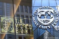 IMF总裁警告：“黑天鹅”已成常态，世界尚未建立起应对体系