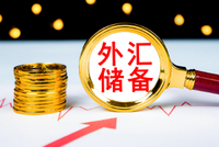 我国8月末外汇储备报34383.25亿美元 连续第2个月增长